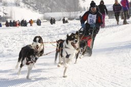 Lenk 2012 SM
